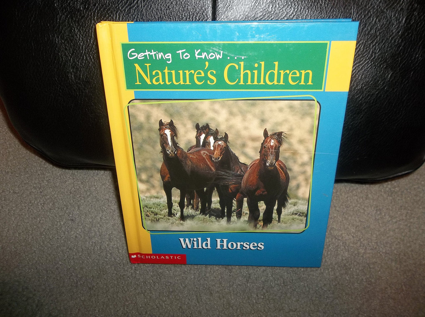 Getting to Know Nature's Children: Wild Horses / Caribou