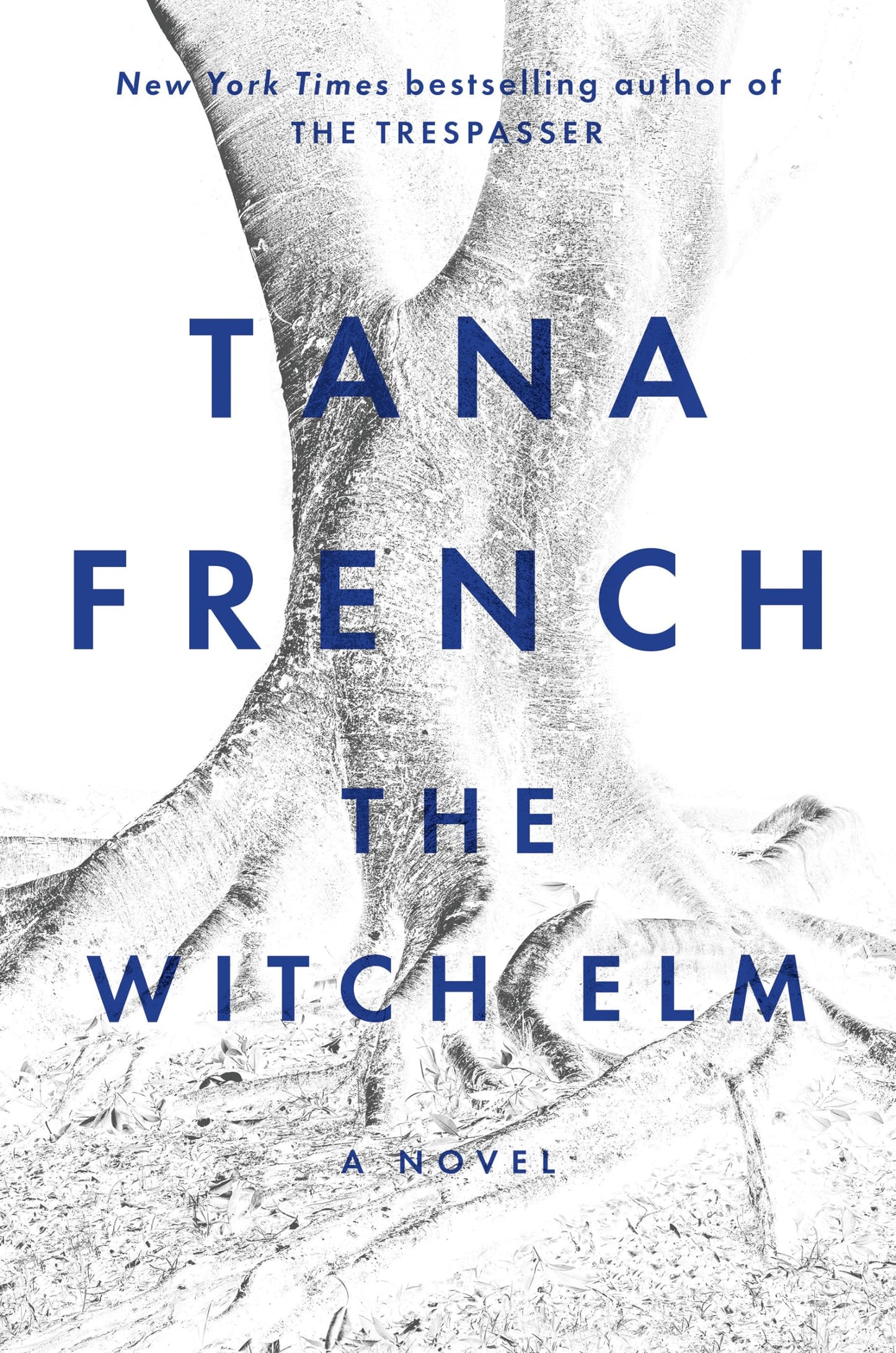 The Witch Elm: A Novel