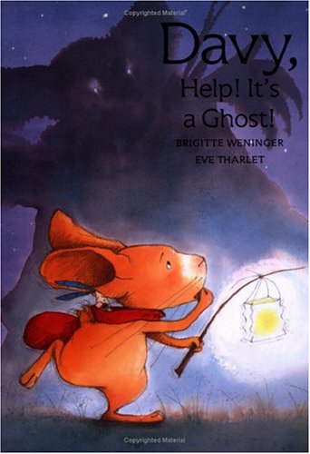 Davy, Help! It's a Ghost!