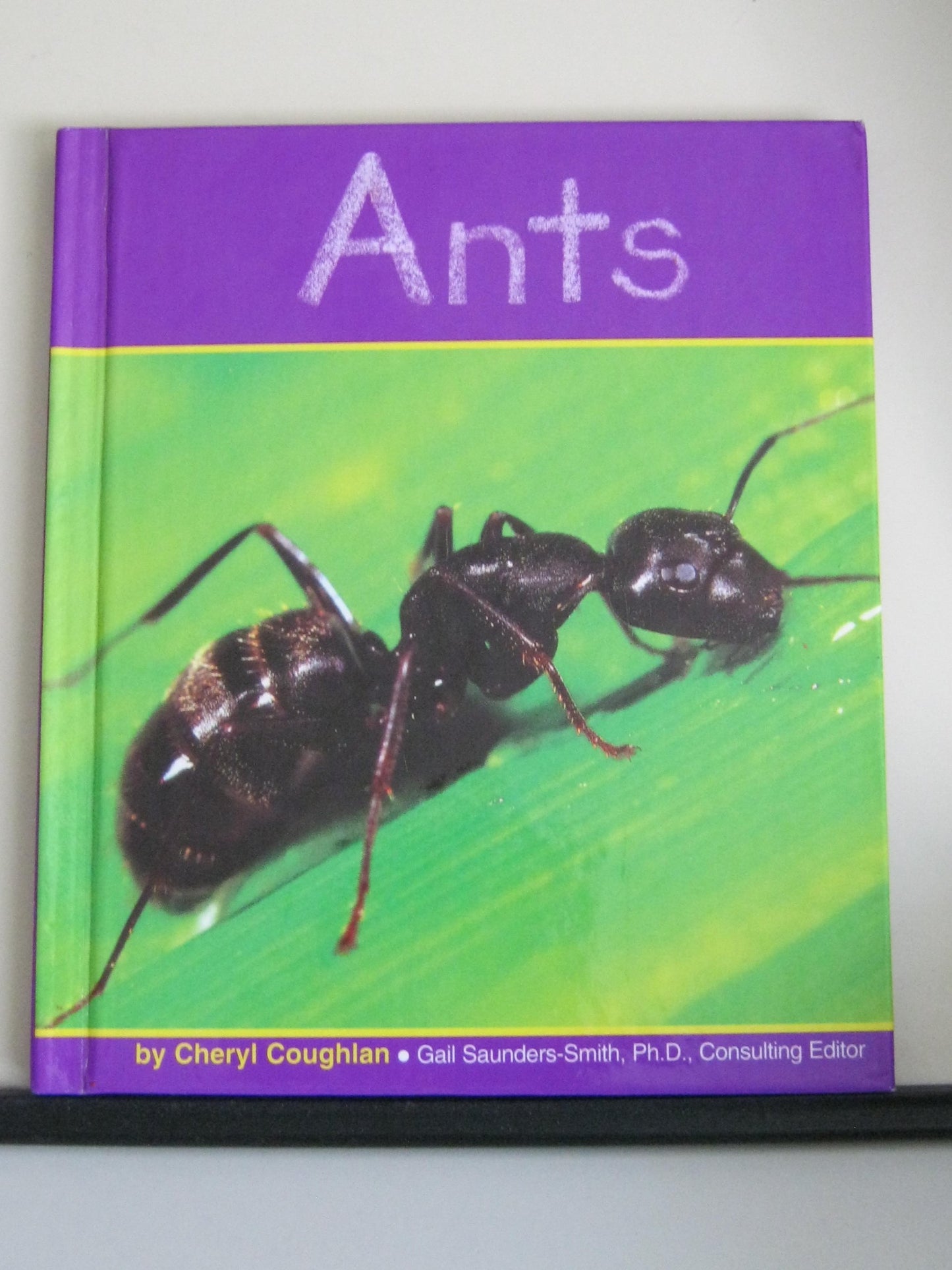 Ants (Pebble Books)