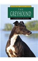 The Greyhound (Learning About Dogs)