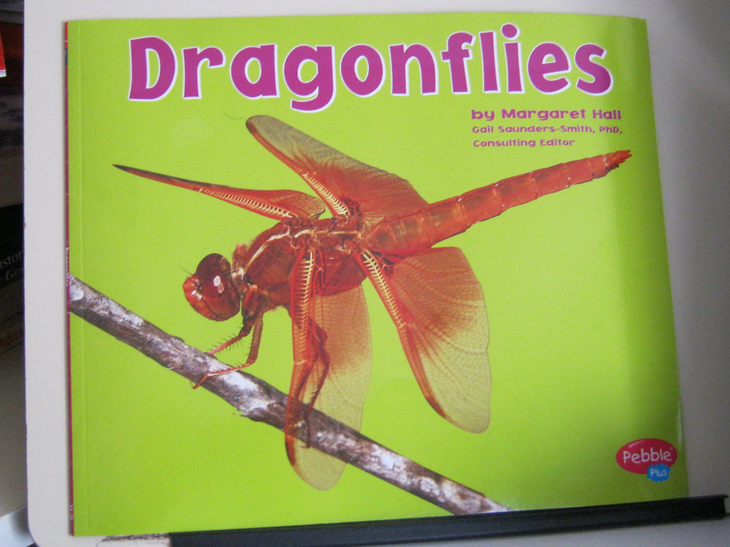 Dragonflies (Bugs, Bigs, Bugs,)