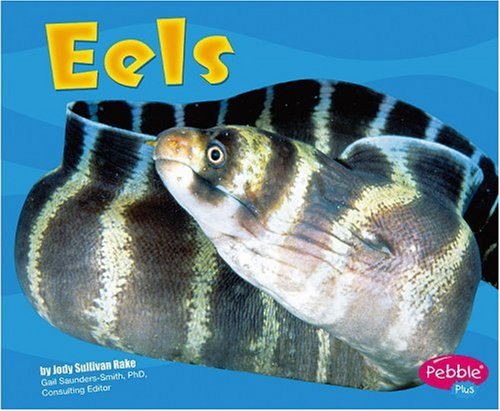 Eels (Pebble Plus)