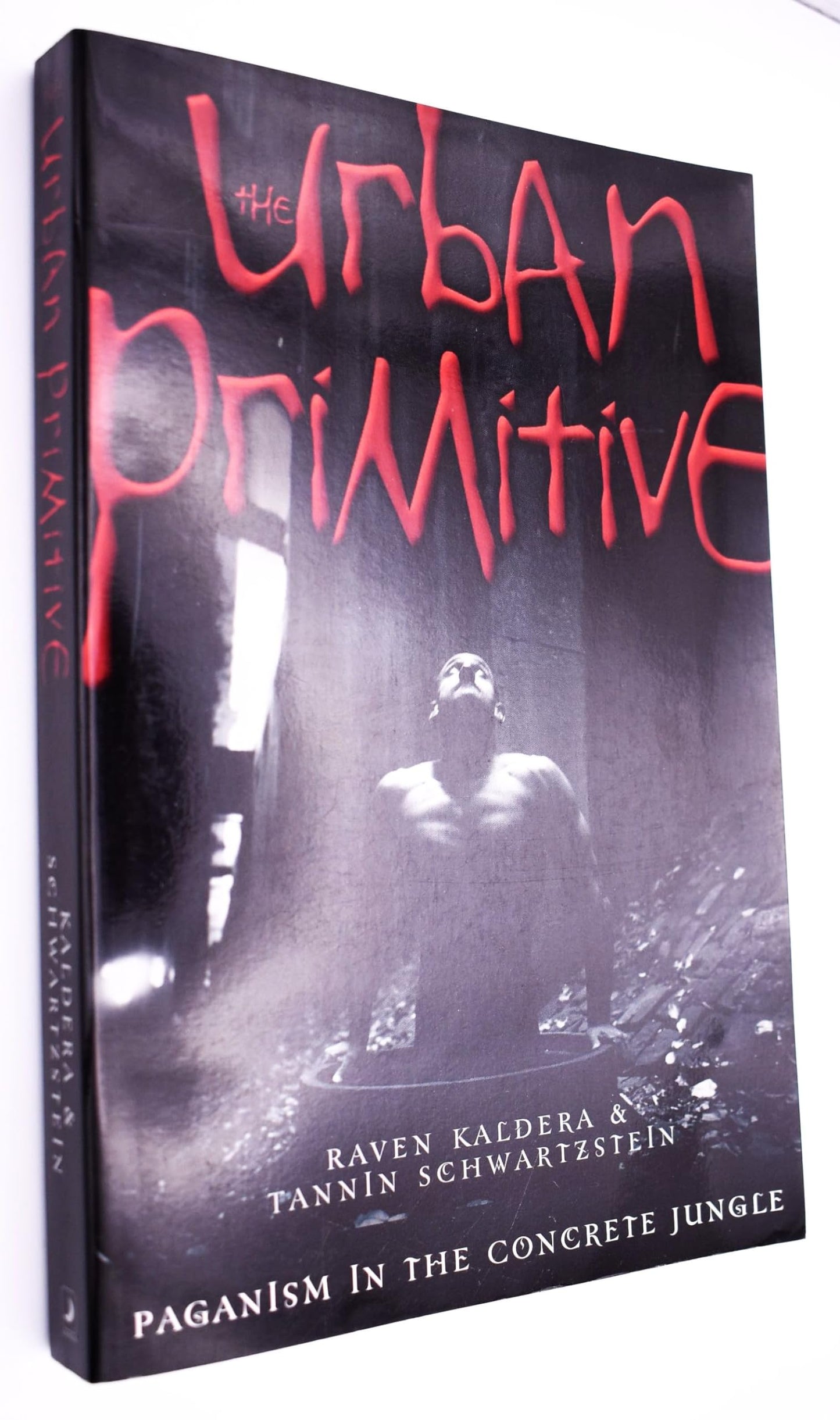 The Urban Primitive: Paganism in the Concrete Jungle