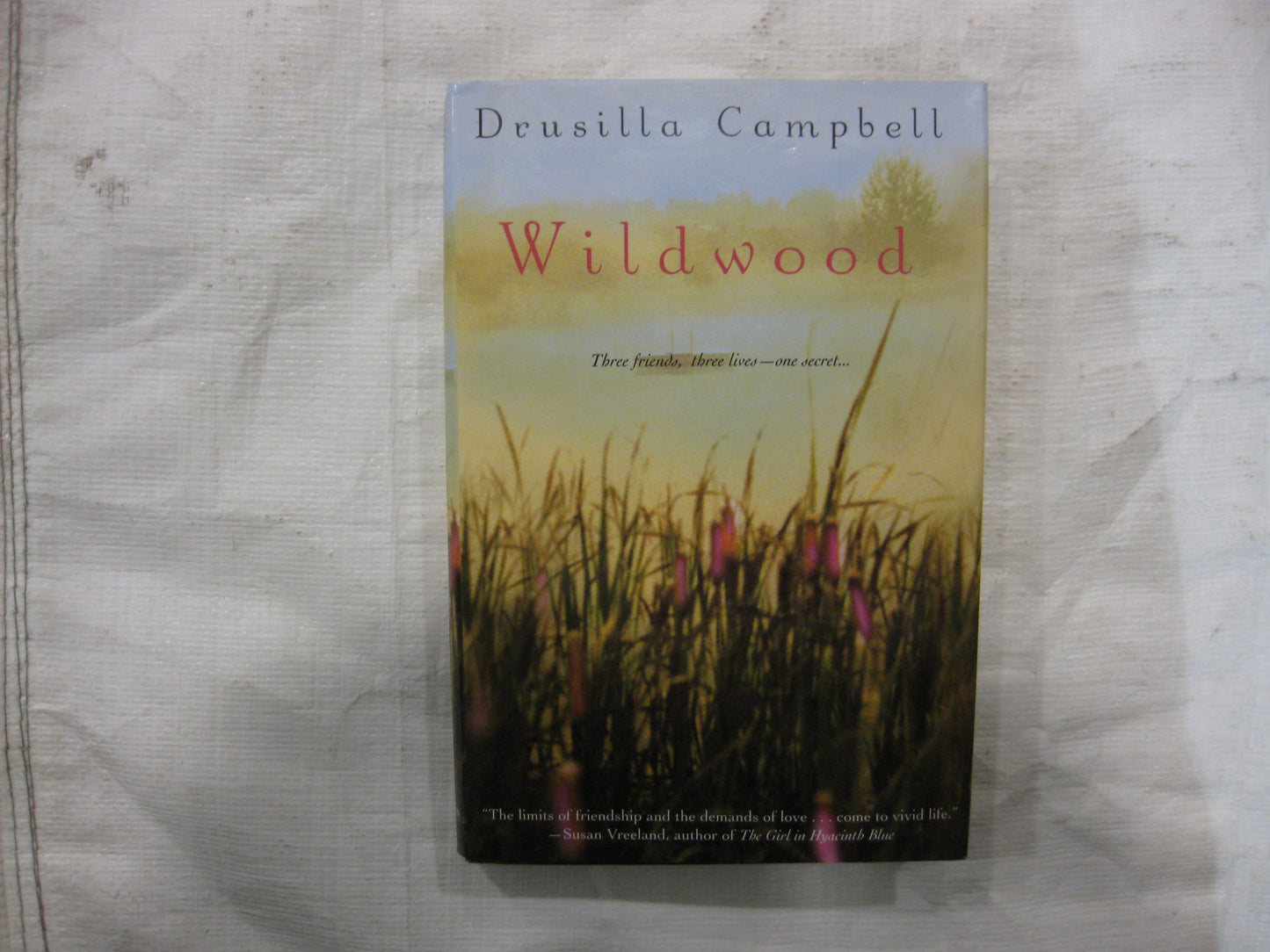 Wildwood [Hardcover] by Cambell
