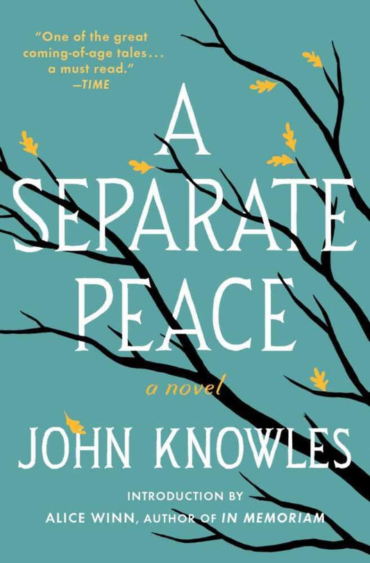 A Separate Peace - 9302