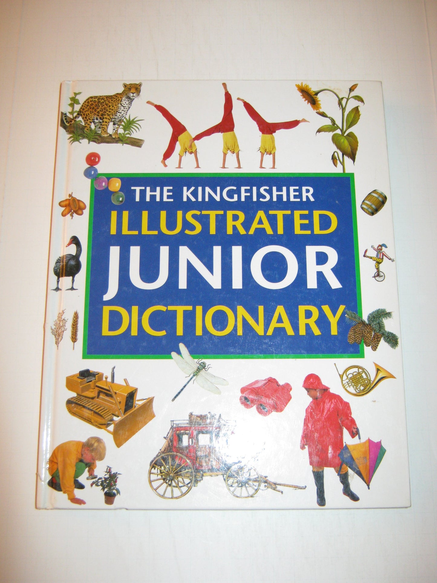 The Kingfisher Illustrated Junior Dictionary