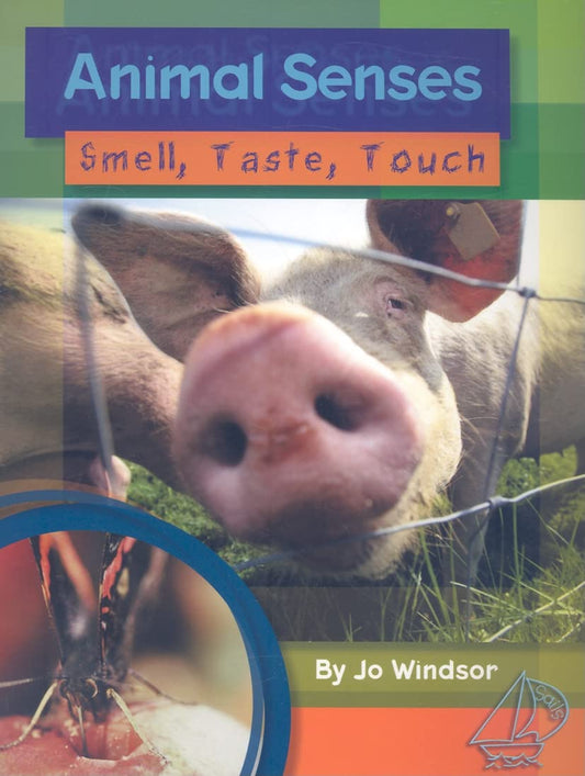 Animal Senses: Smell, Taste, and Touch: Leveled Reader (Rigby Sails)