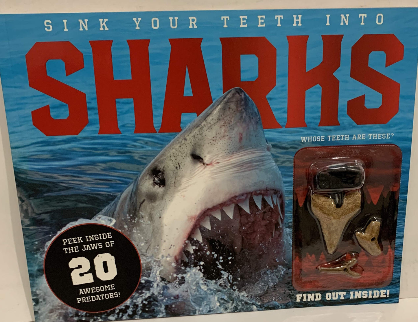 Sink Your Teeth Into Sharks: Peek Inside the Jaws of 20 Awesome Predators