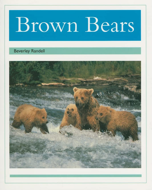 Brown Bears: Individual Student Edition Turquoise (Levels 17-18) (Rigby PM Collection)