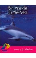 Rigby Sails Emergent: Student Reader Big Animals in the Sea