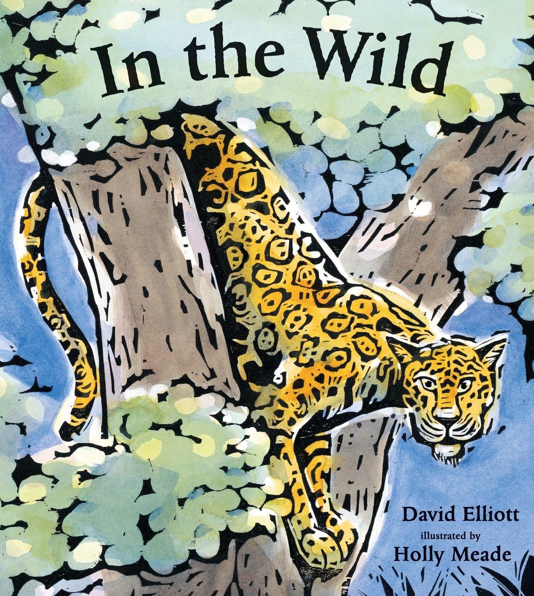In the Wild (Paws, Fins, Feathers, Claws)
