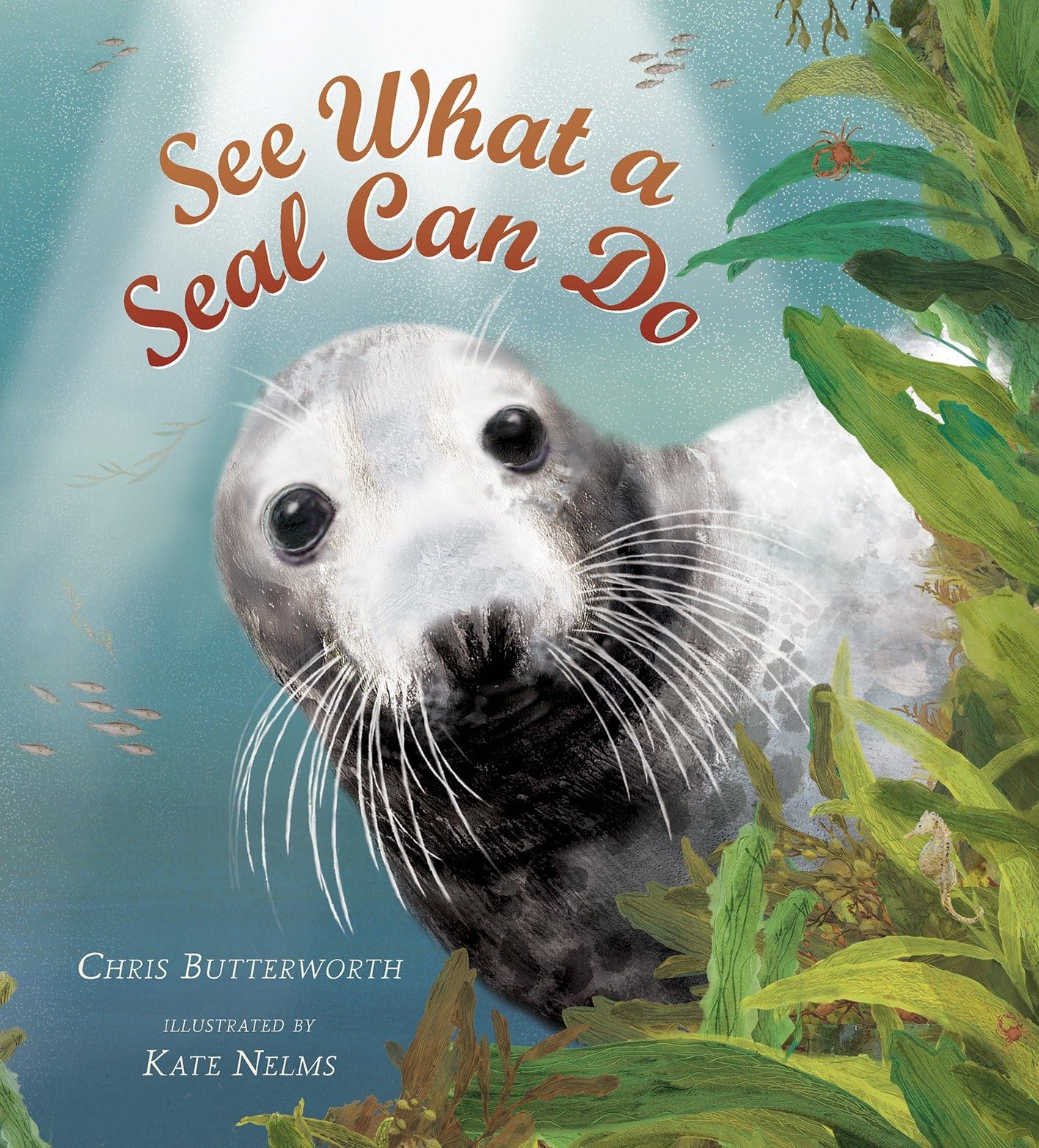 See What a Seal Can Do (Read and Wonder) - 9927