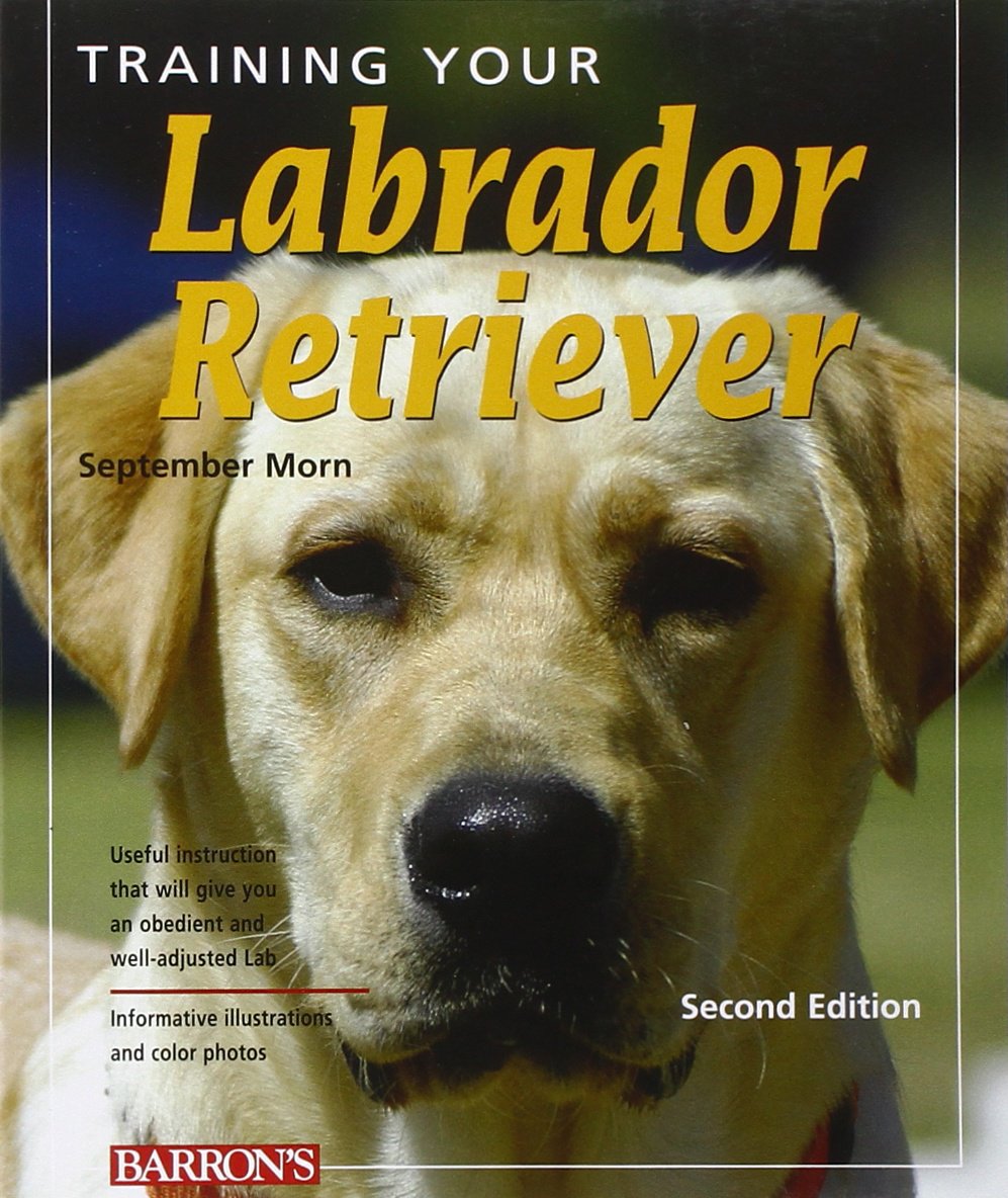 Training Your Labrador Retriever: Veterinarian-Approved Training Book for Yellow, Chocolate, and Black Labrador Retriever Puppies and Older Dogs
