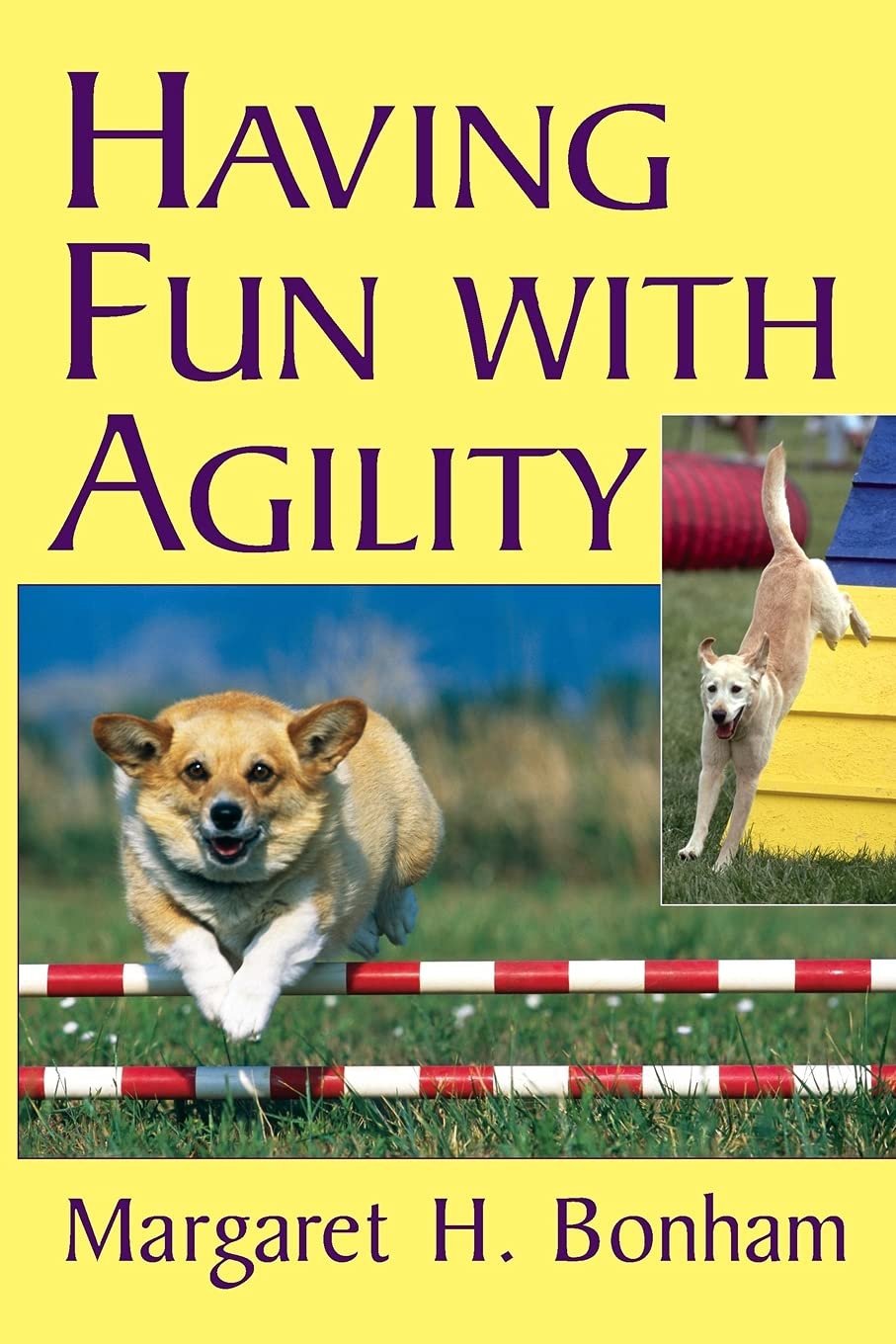 Having Fun With Agility (Howell Dog Book of Distinction (Paperback))
