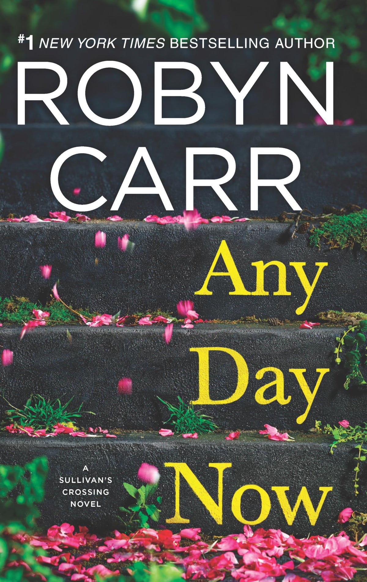 Any Day Now: A Sullivan’s crossing novel and the inspiration for the hit Netflix show (Sullivan's Crossing, 2)