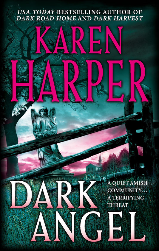 Dark Angel (Maplecreek Amish Trilogy #3)