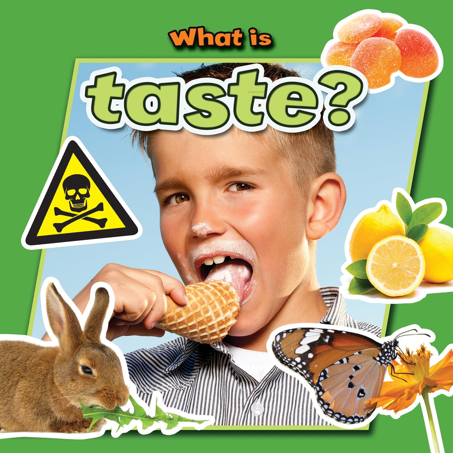 What Is Taste? (Senses Close-Up)