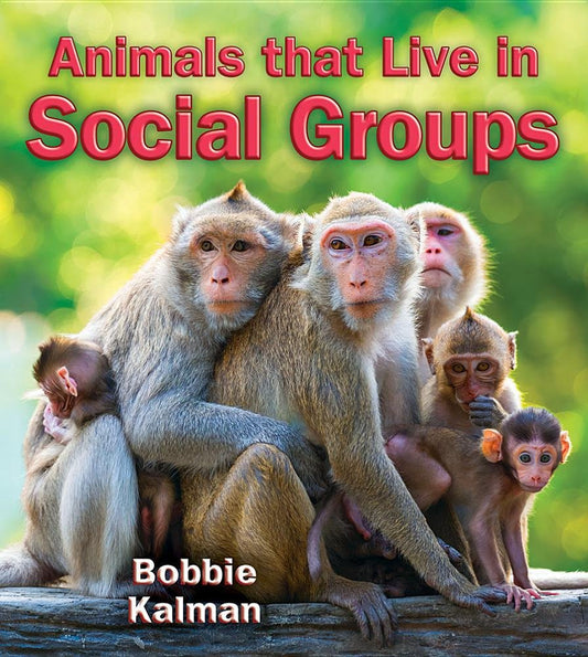 Animals That Live in Social Groups (Big Science Ideas)