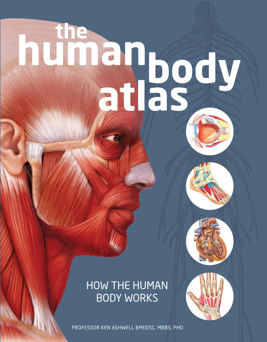 The Human Body Atlas: How the human body works - 2272