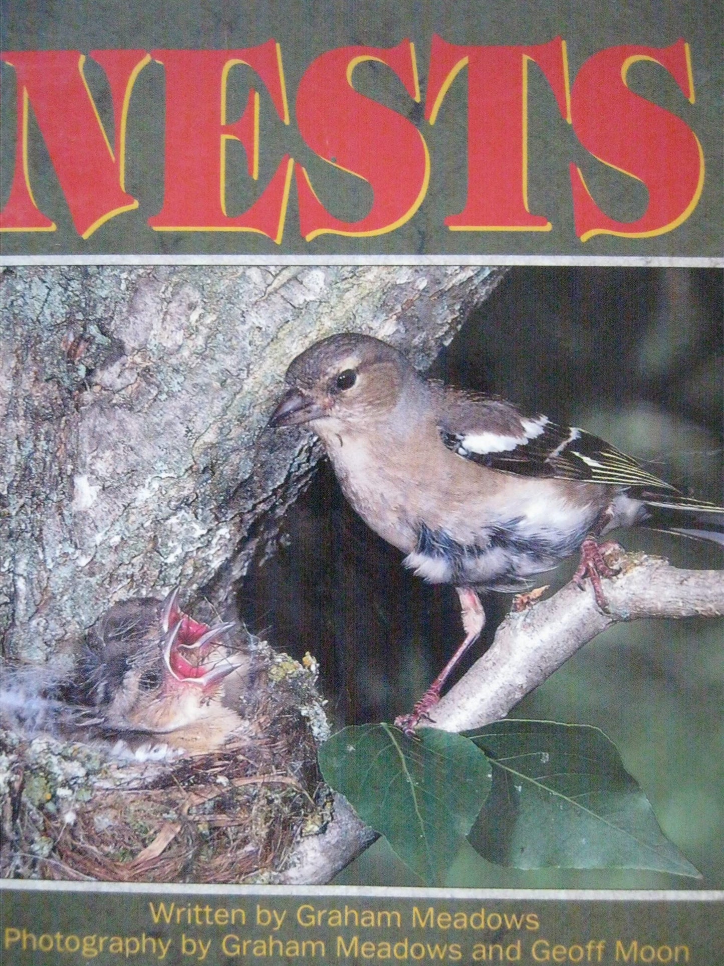 Nests Literacy 2000 Satellites Stage 2 Set C