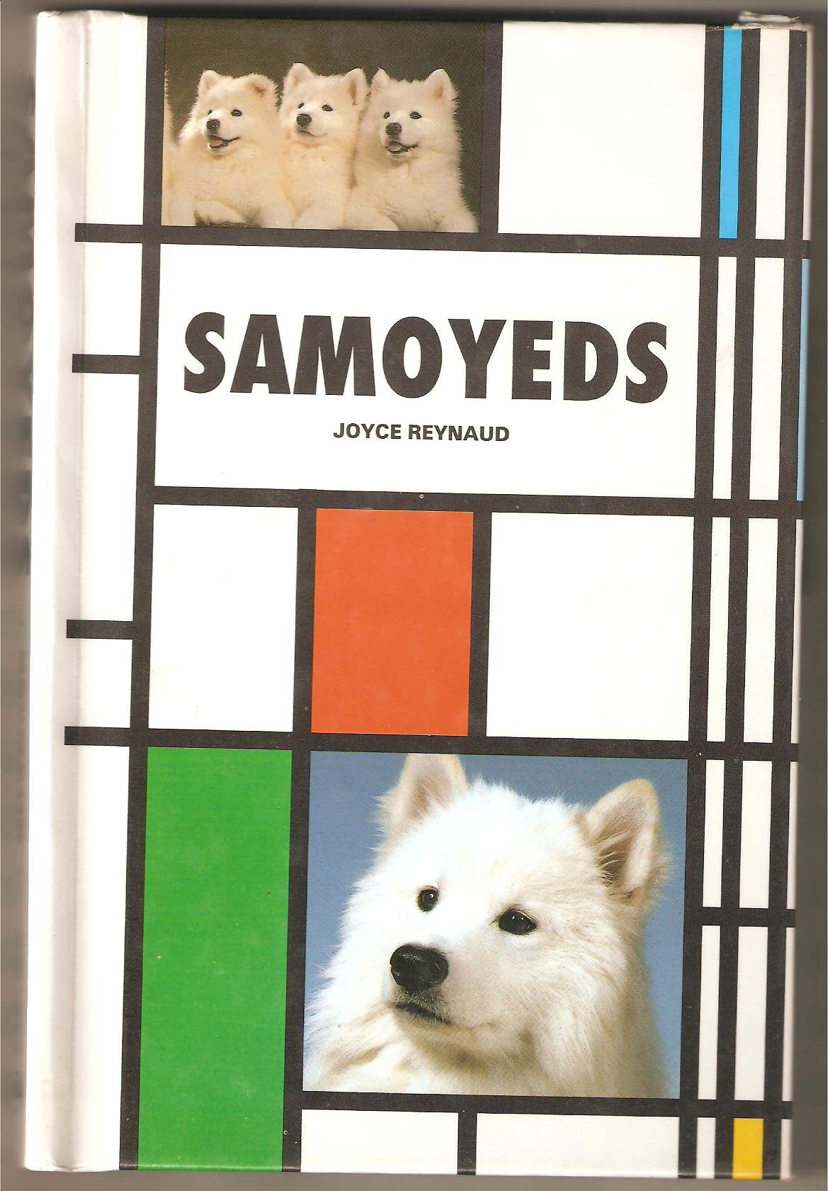 Samoyeds