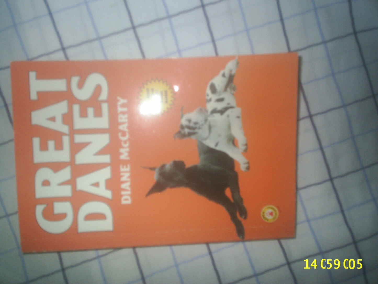 Great Danes