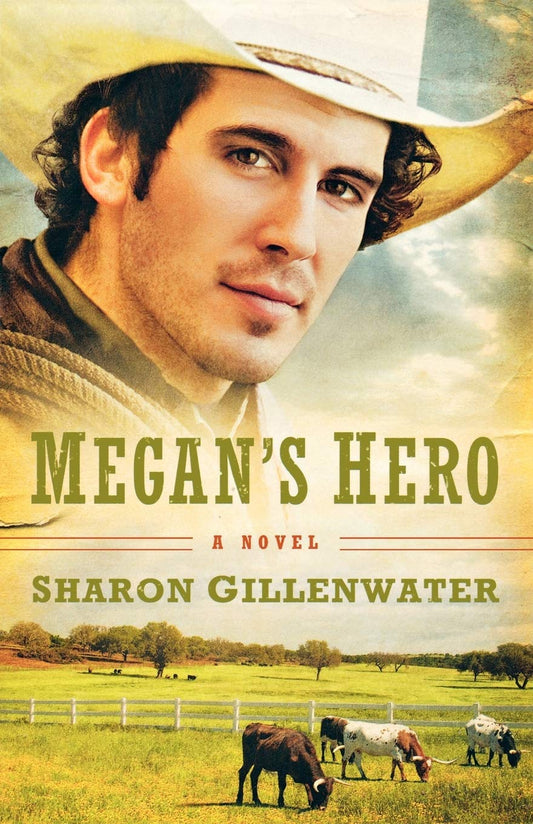 Megan's Hero: A Novel