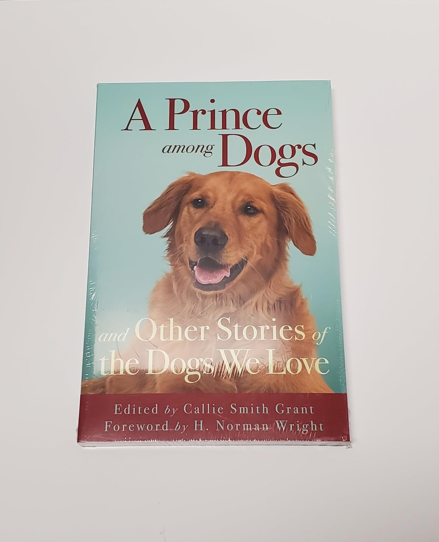 A Prince among Dogs: And Other Stories of the Dogs We Love