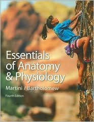 Essentials of Anatomy and Physiology