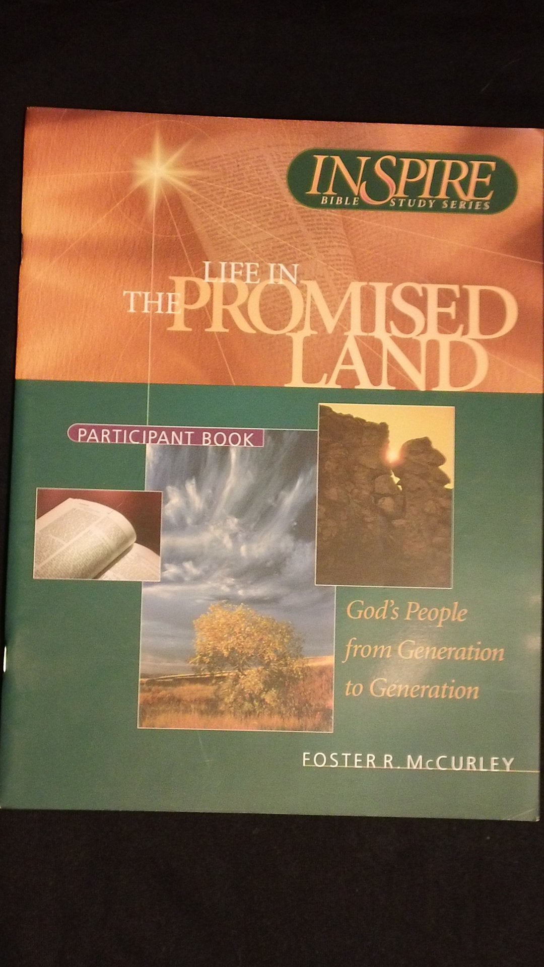 Life in the Promised Land: Inspire Bible Study Participant Book