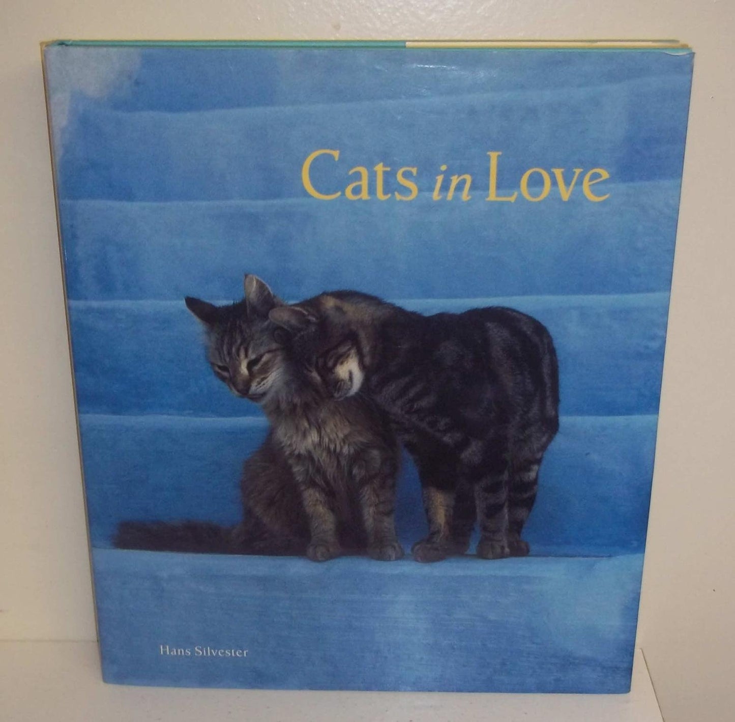 Cats in Love