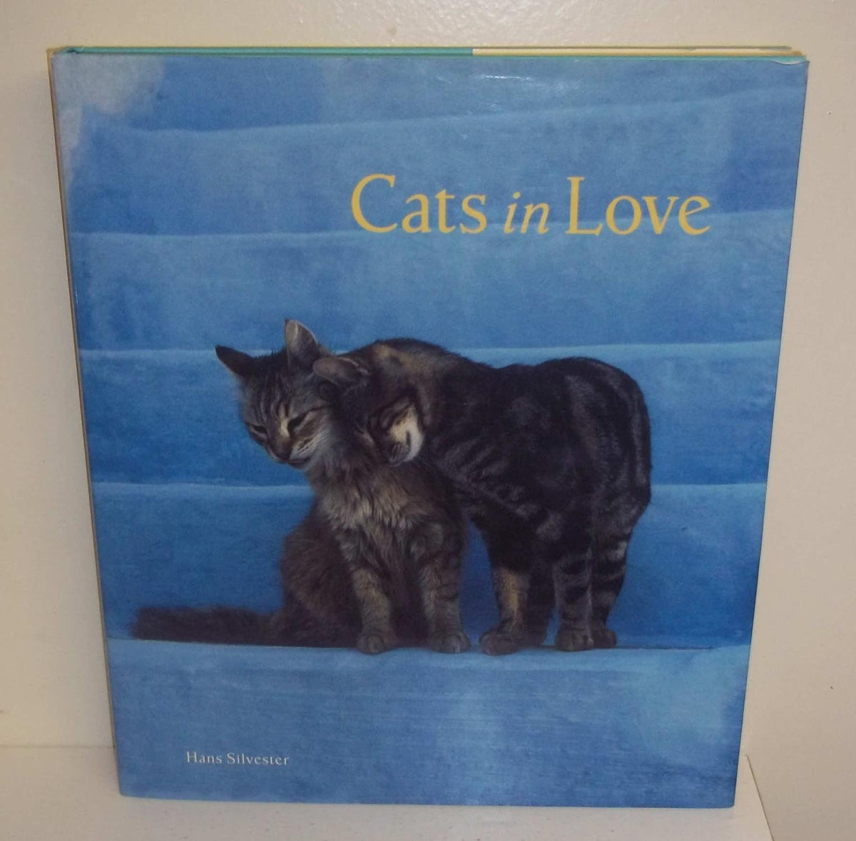 Cats in Love
