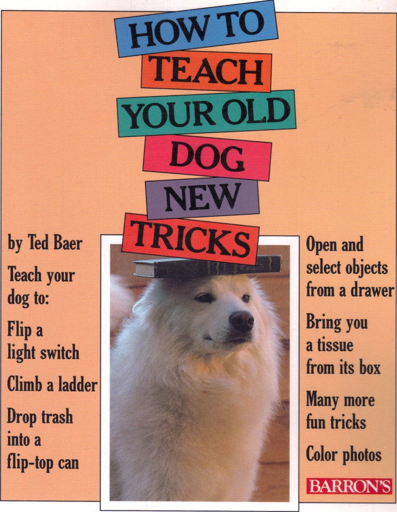 How to Teach Your Old Dog New Tricks