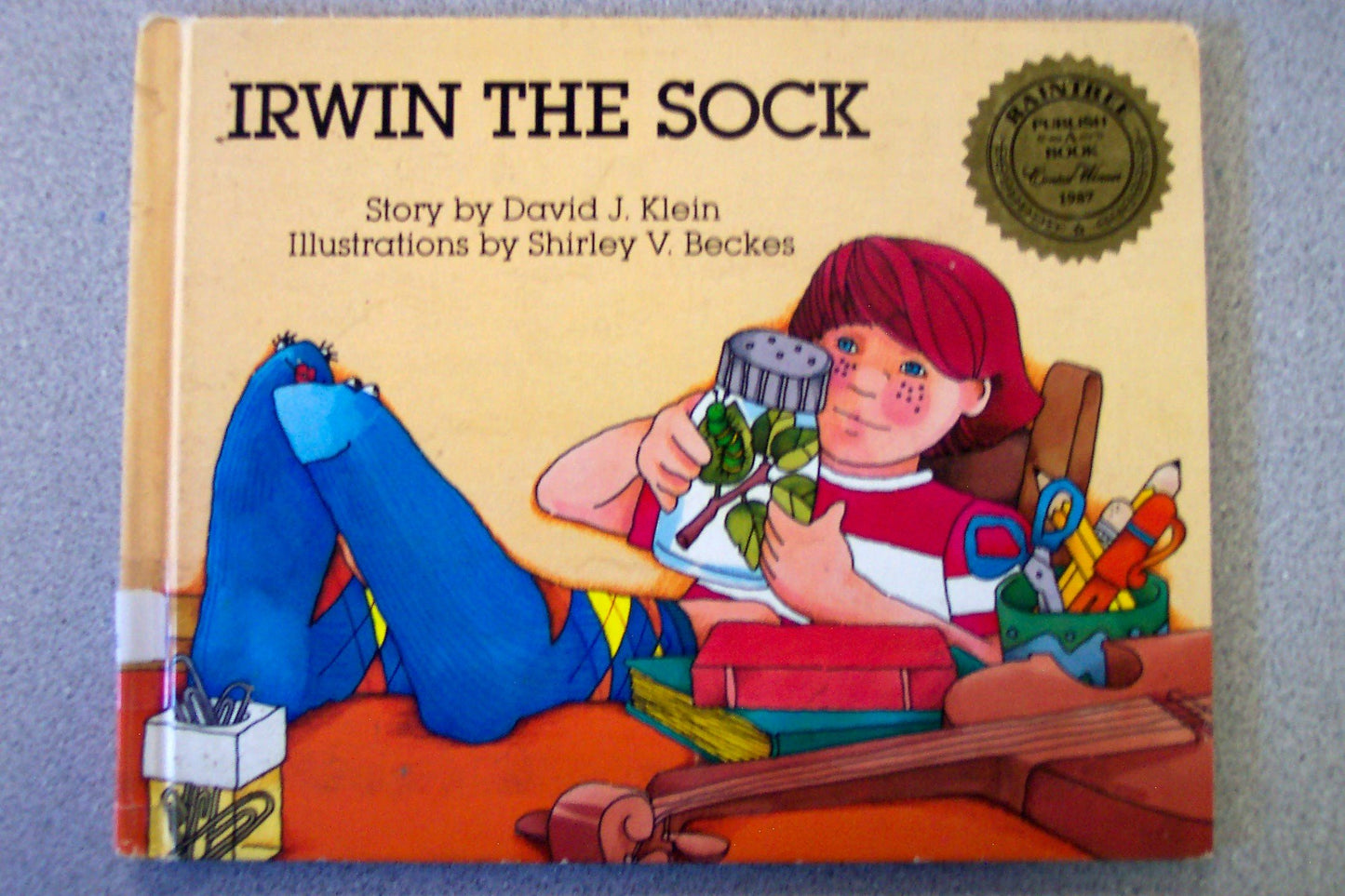 Irwin the Sock (Publish a Book)