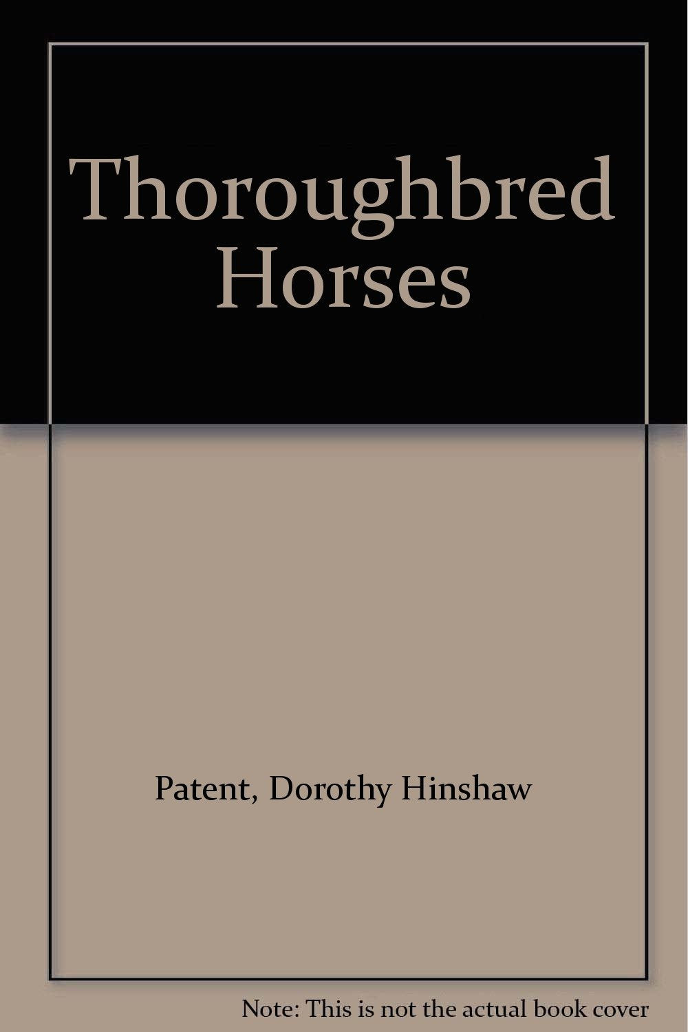 Thoroughbred Horses