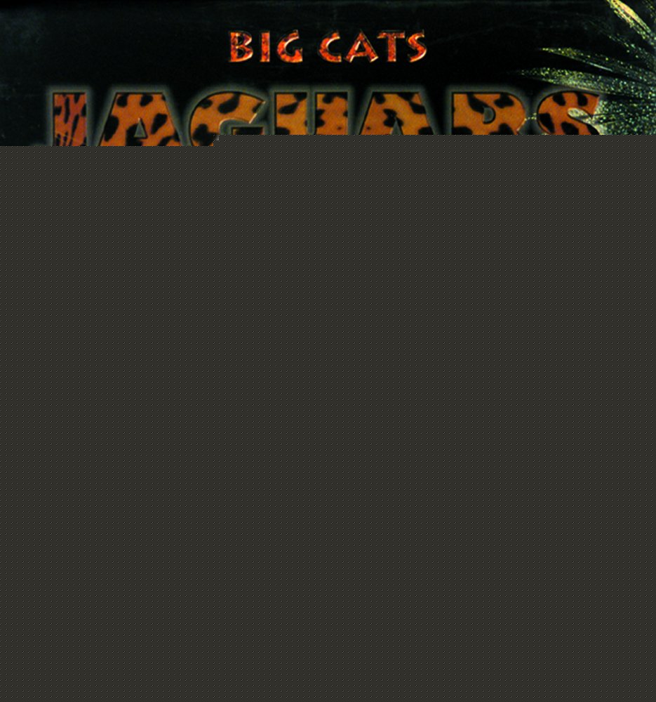 Jaguars (Big Cats)