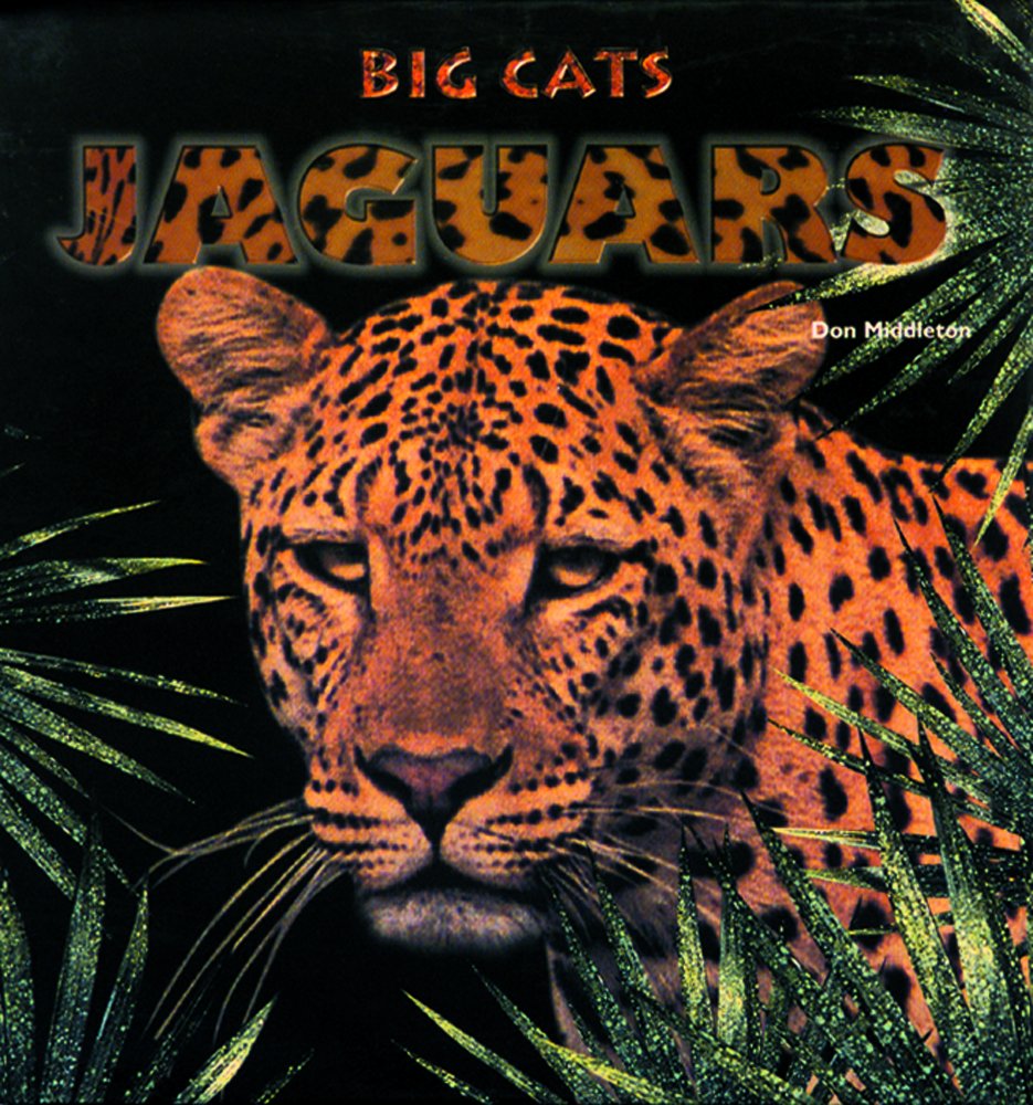 Jaguars (Big Cats)