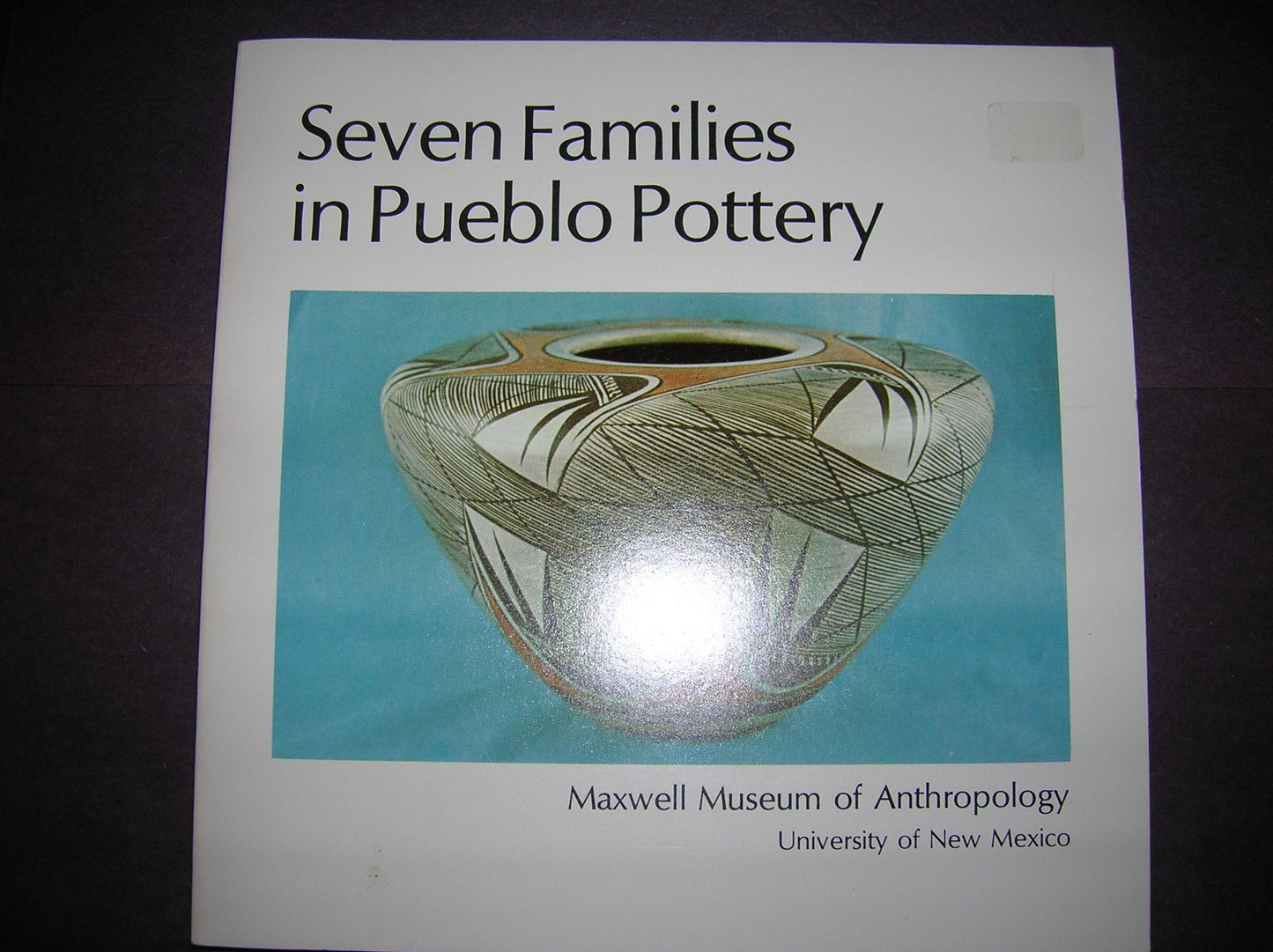 SEVEN FAMILIES IN PUEBLO POTTERY