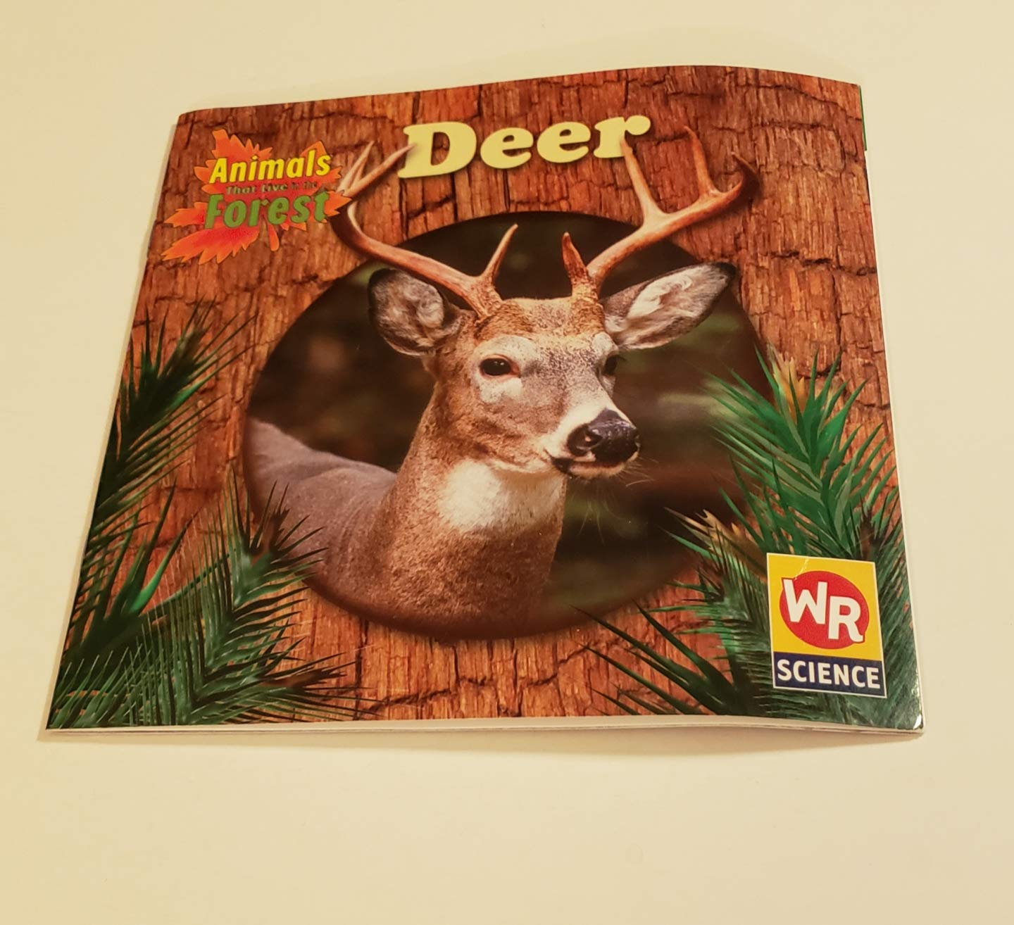 Deer (Animals That Live in the Forest)