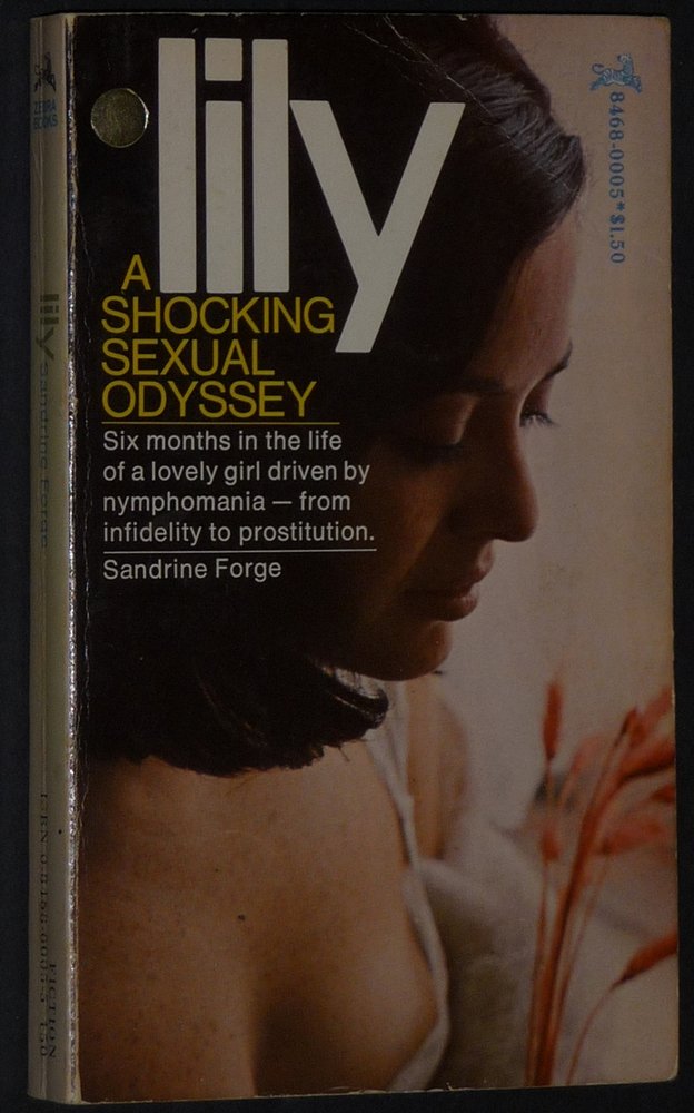 Lily: The Diary of a French Girl in New York