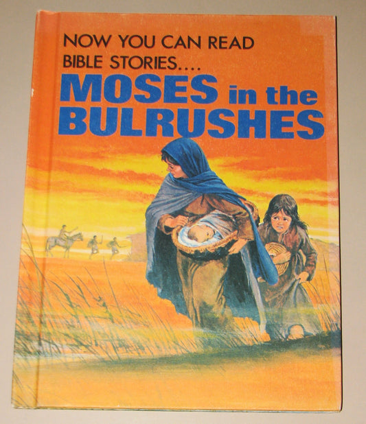 Moses in the Bulrushes (Now you can read--Bible Stories)