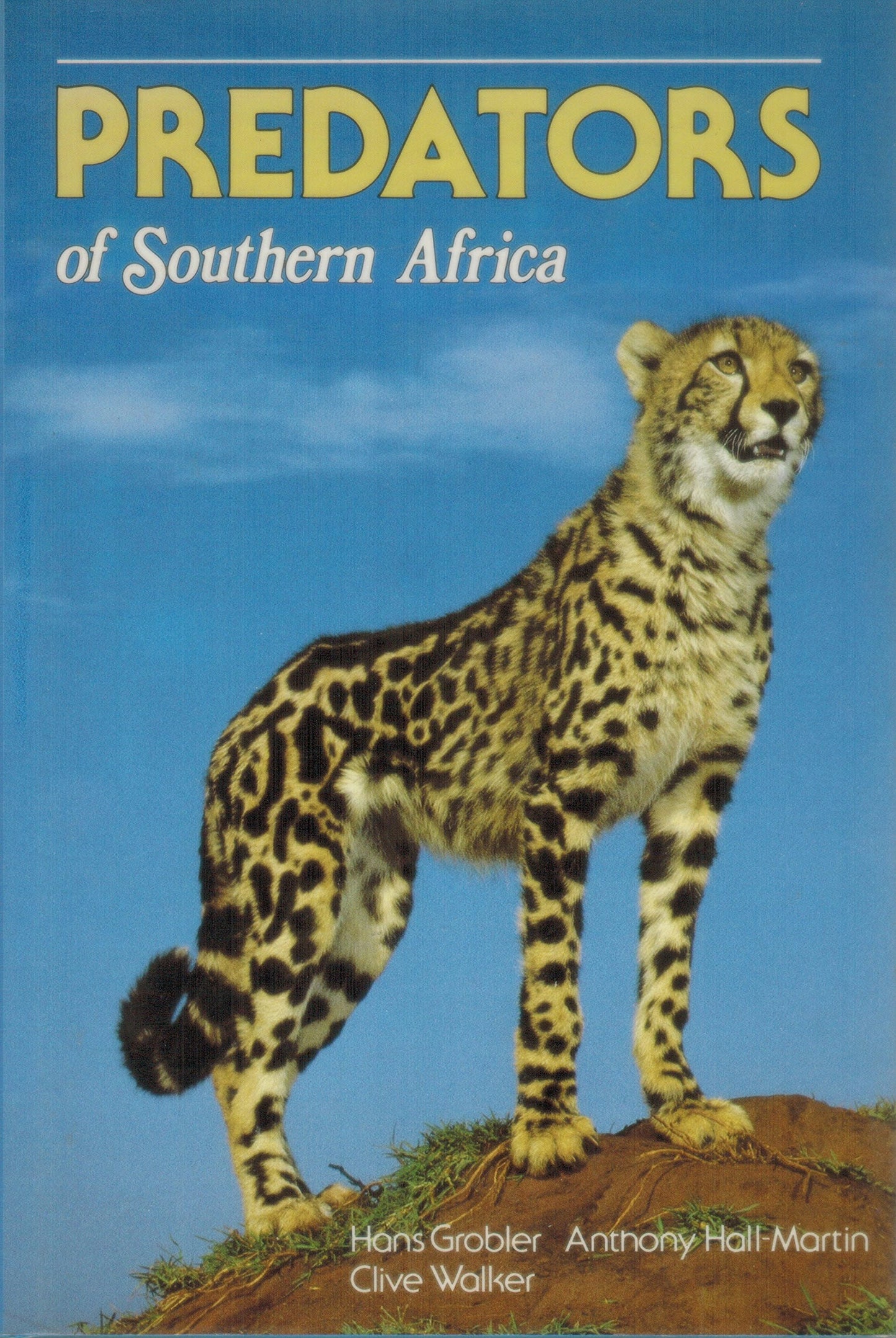 Predators of Southern Africa: A Guide to the Carnivores