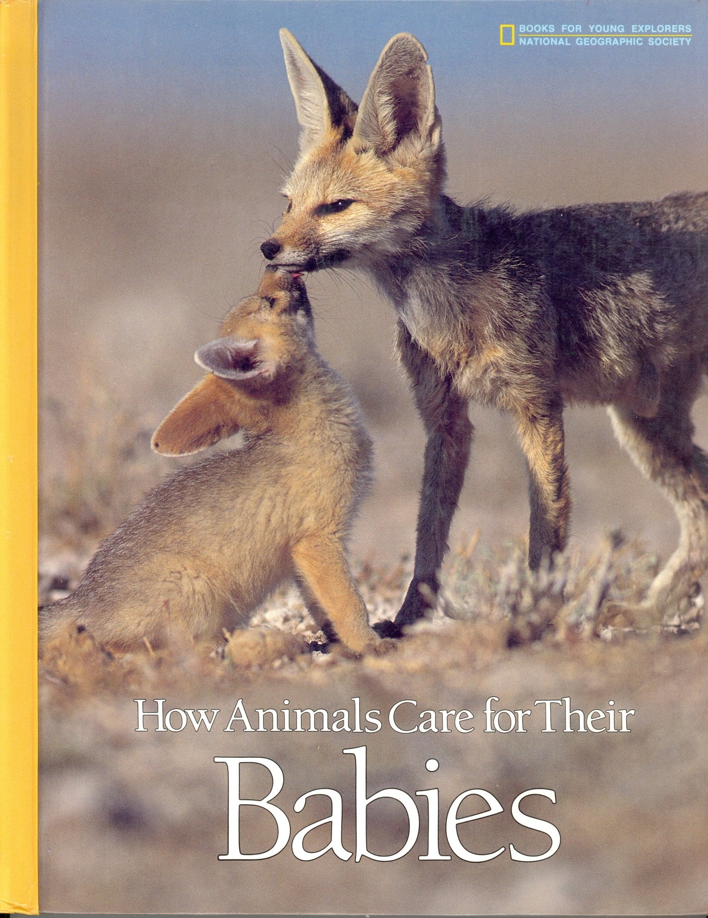 How Animals Care for Their Babies (Books for Young Explorers) - 7234