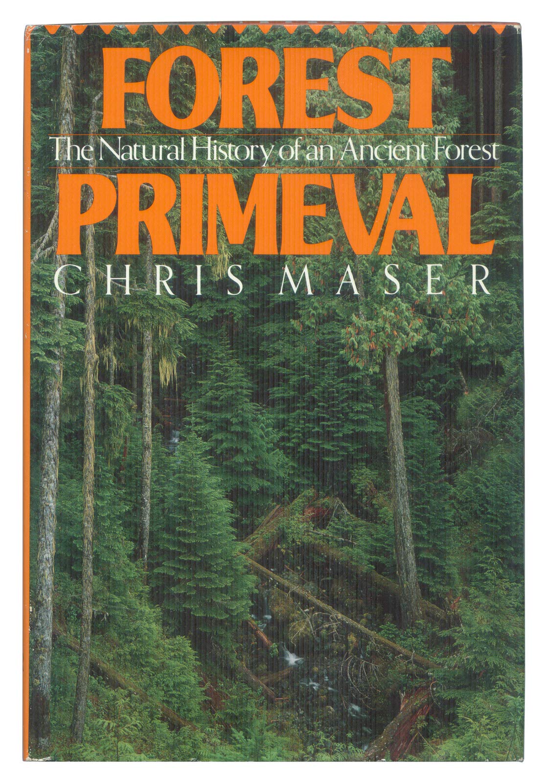 Forest Primeval
