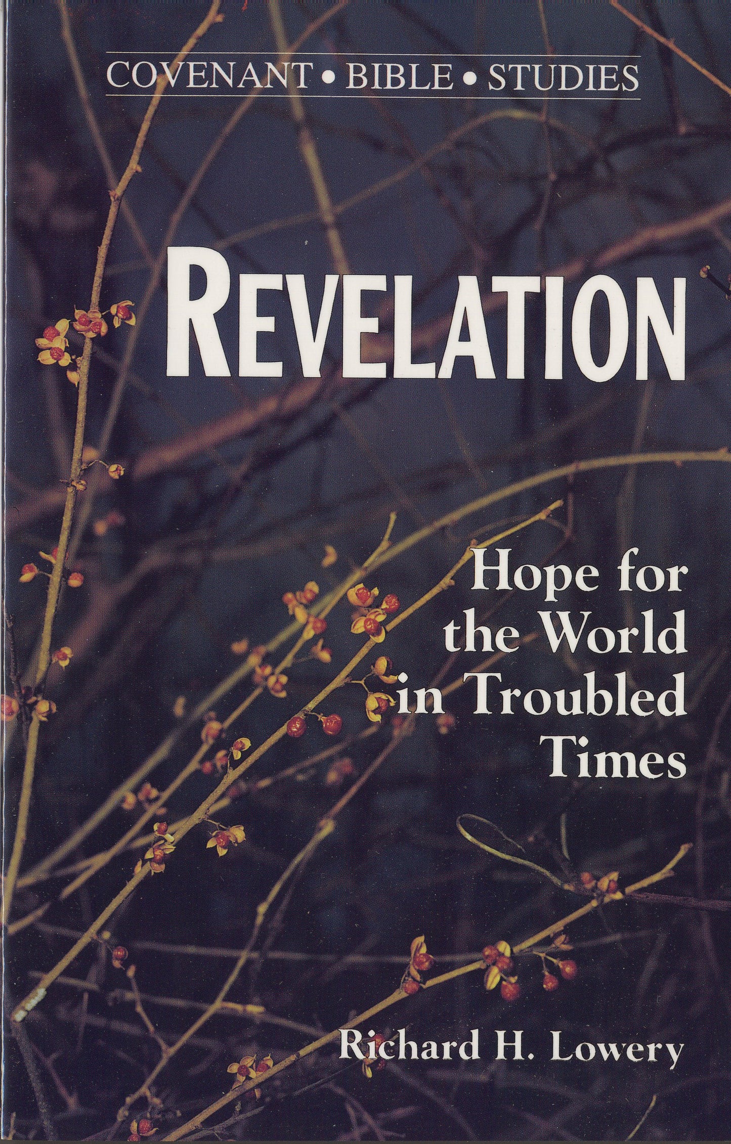 Revelation: Hope for the World in Troubled Times (Covenant Bible Study)
