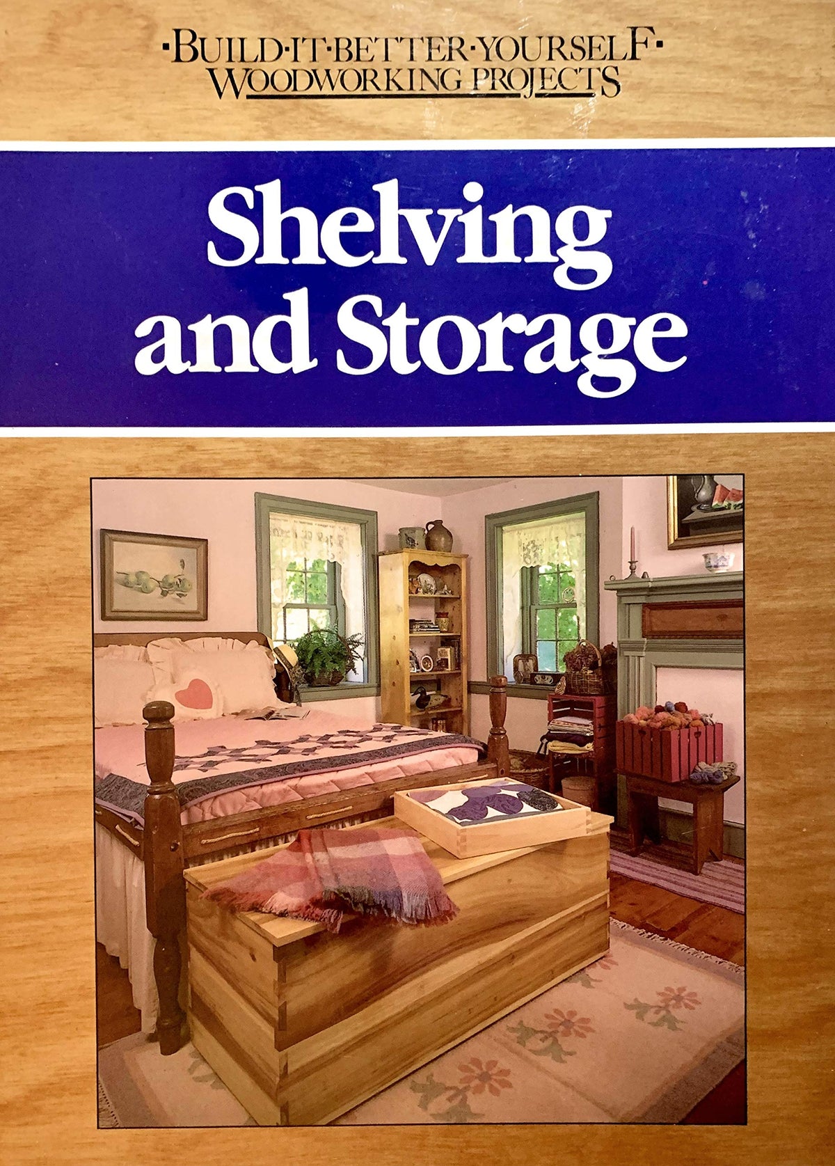 Shelving and Storage (Build-It-Better-Yourself Woodworking Projects)