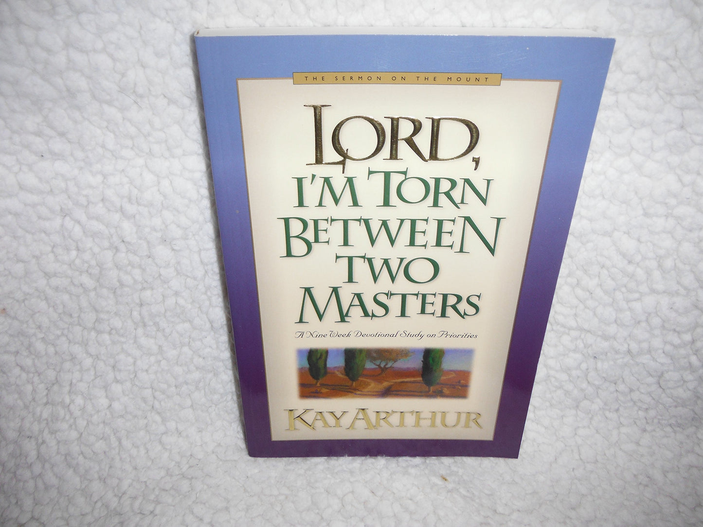 Lord, I'm Torn Between Two Masters: A Nine Week Devotional Study on Priorities (Lord Series)