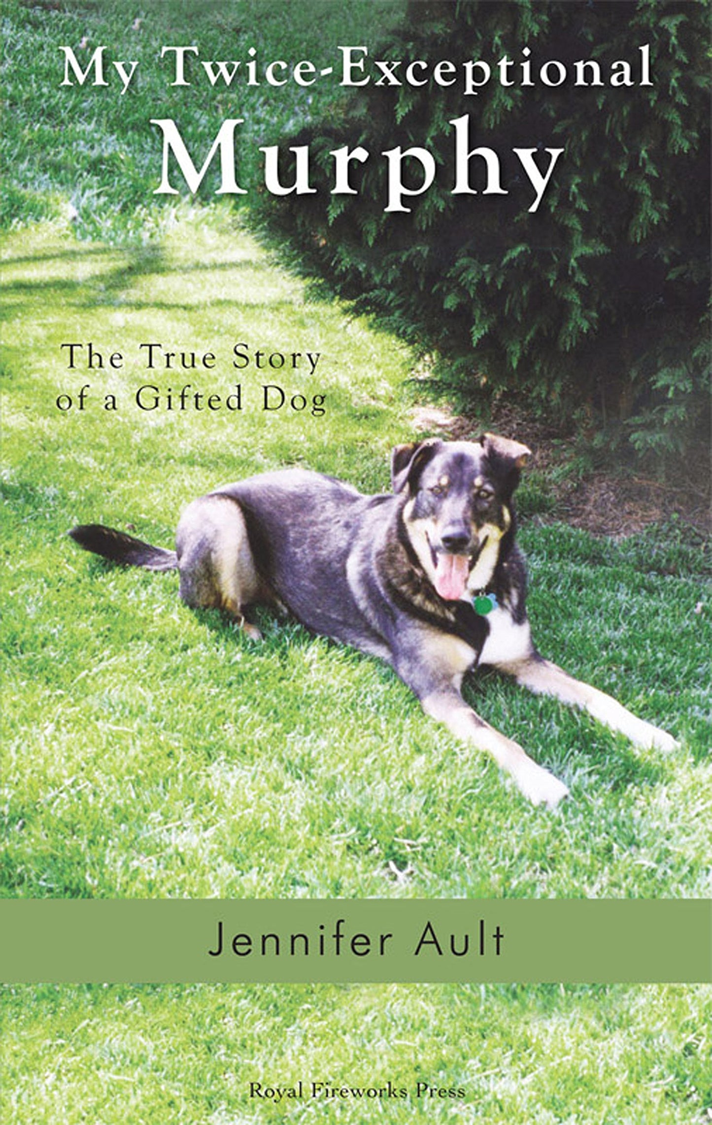 My Twice-Exceptional Murphy: The True Story of a Gifted Dog