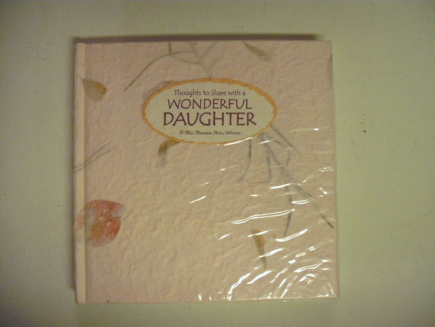 Thoughts to Share With a Wonderful Daughter: A Blue Mountain Arts Collection (Language of Series)
